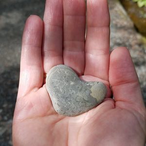 Meet your Posher, Yael